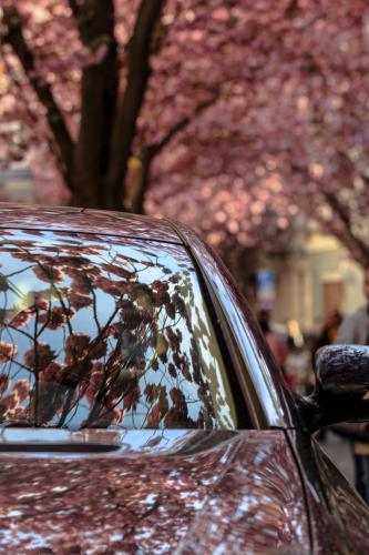 093-2015-Wett- H.Kampf-3v3      