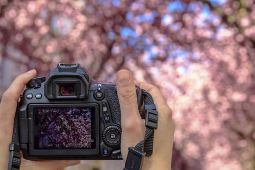 094-2015-Wett-P.Duenwald 1v3      