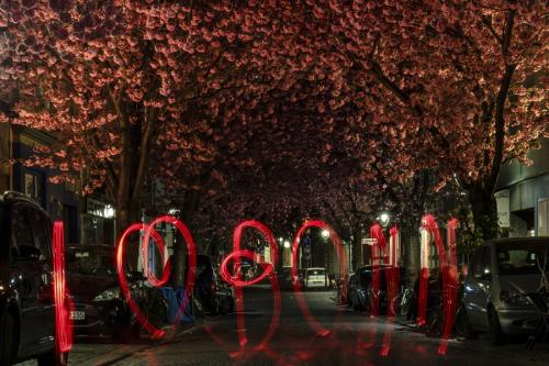 095-2015-Wett-P.Duenwald 2v3      