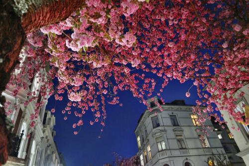 133-2015-Wett-F.Winkler-SAM_0248-3v3-7P      