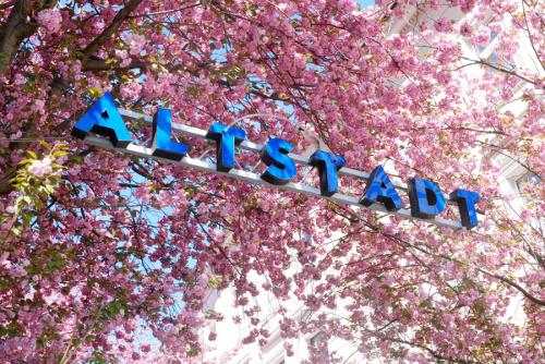 137-2015-Wett-Z.Simon Wang-red_m1DSC_6230-2v3      