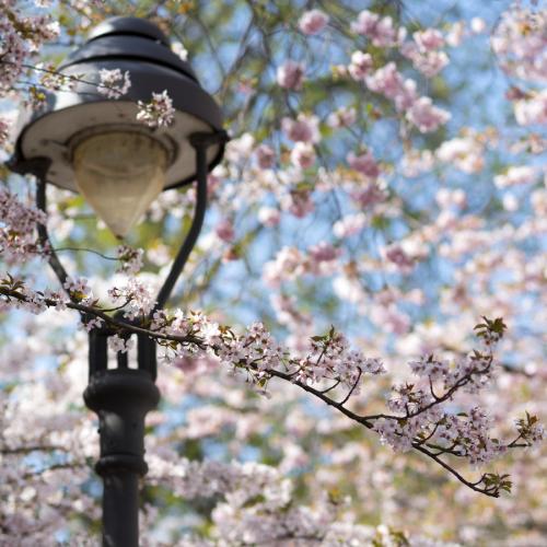 139-2015-Wett.H-E-Boden.-DSC_0622-Bearbeitet-q-0PBN      