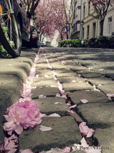 2.Platz-445-2015-Wett-V.Garcia-3v3-