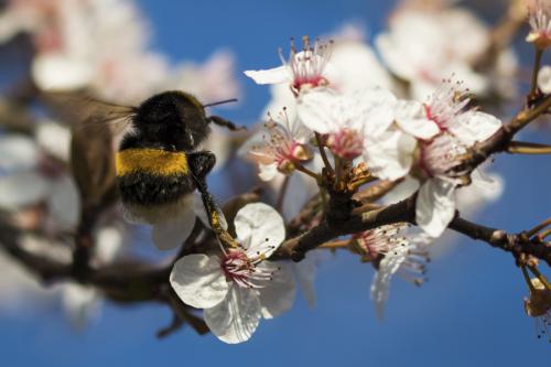 218-2015-Wett-C.Callenberg-DSC_7988-2-2v3       