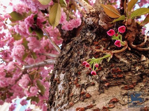 295-2015-Wett-G.Karlstetter-1_DSC00655_wm_web-3v3-6p          