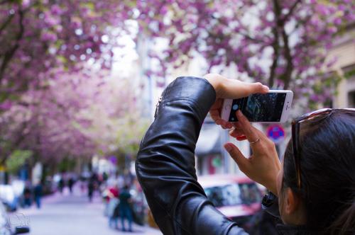 296-2015-Wett-joy-dang_DSC6517-1v3 (1)