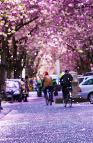 297-2015-Wett-joy-dang__DSC6539-2-2v3          