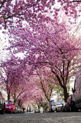 321-2015-Wett-C.Irrgang 2v3          