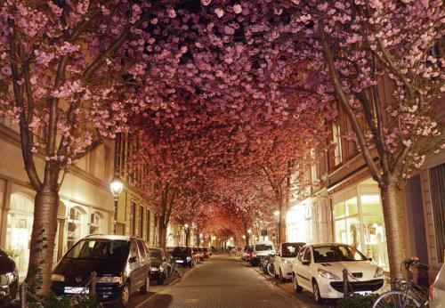 323-2015-Wett-P.Beitnere-DSC07732+1v3 (1)