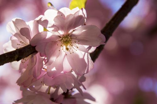 326-2015-Wett-K.Schulz-IMG_8732-1v3          