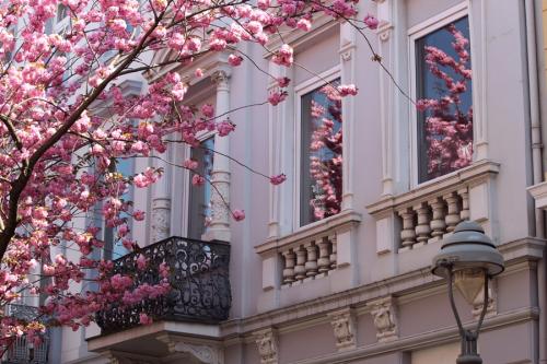 332-2015-Wett-W.deVries-1v1          