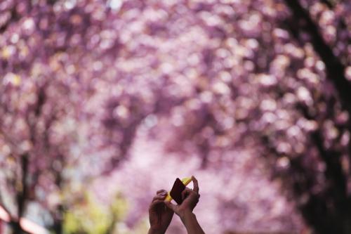 340-2015-Wett-O.Viehmann-3v3-7P          