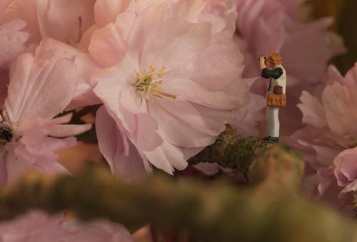 390-2105-Wett-N.Winkler-1v2          