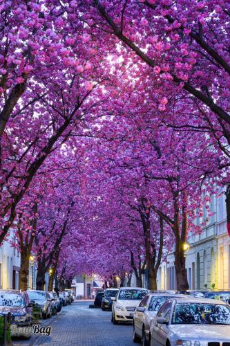 412-2015-Wett-K.Bowdurez-2v2-4p          