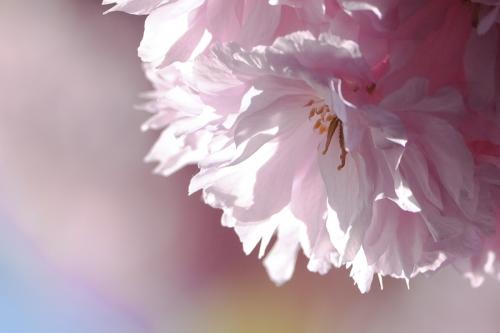 413-2015-Wett-A.Staudacher-1v3 (1)