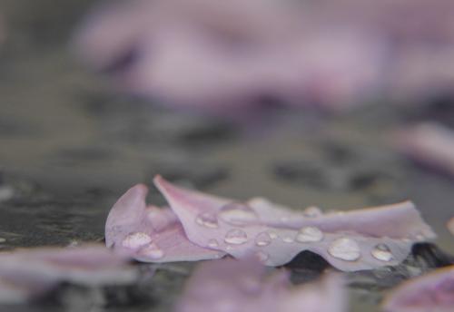 415-2015-Wett-A.Staudacher-3v3-2P          