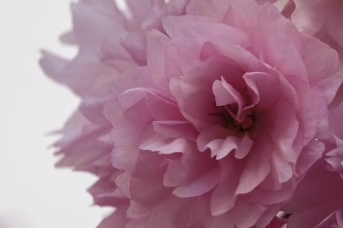 417-2015-Wett-Alex.Staudacher-2v3          