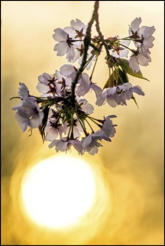 433-2015-Wett-J.Koch-3v3          