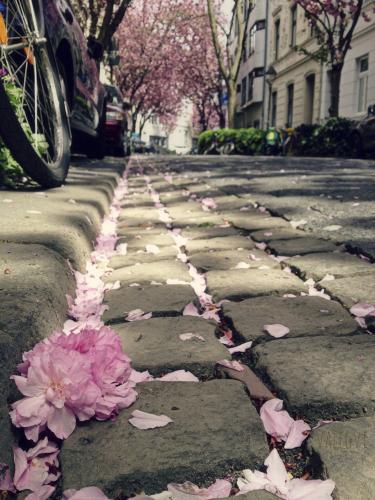 445-2015-Wett-V.Garcia-3v3          