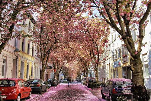 454-2015-Wett-Ch.Klesing-3v3          