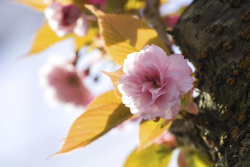 460-2015-Wett-M.Stachura-3v3          