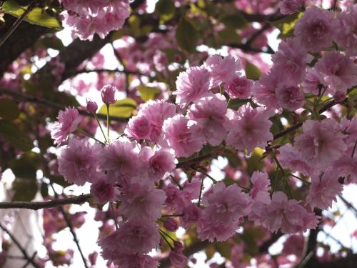 479-2015-Wett-T.Freyer-2v3          