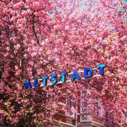 486-2015-Wett-A.Meurers-kibo2015_3v3-BN          