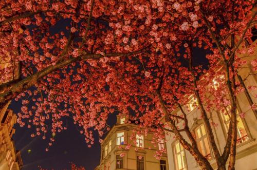 012-2016-Wett-K.Wagner-image1