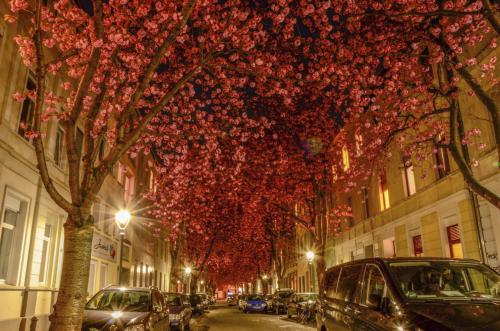 012-2016-Wett-K.Wagner-image2