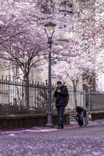 023-2016-Wett-Br.Eiberger-2