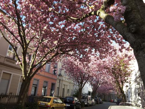 026-2016-Wett-G.Moll-20160420 091253