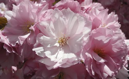 037-2016-Wett-S.Oessenich-0067 (1)