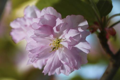 049-2016-Wett-C.Cramer-1