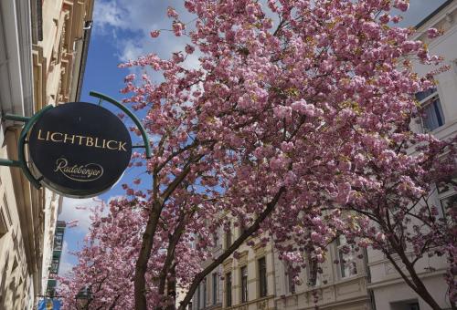 054-2016-Wett-V.Tachil-DSC01088