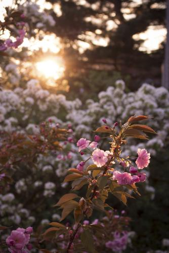 063-2016-Wett-D.Koch1