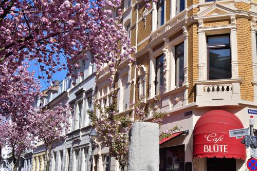 068-2016-Wett-G.Rohs-Blüte