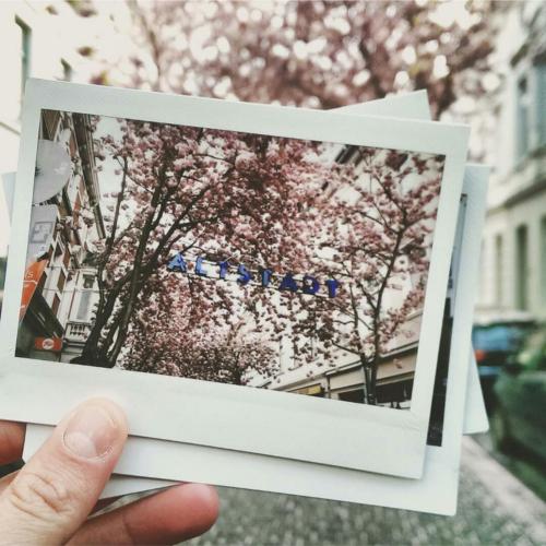 084-2016-Wett-R. Ruppel-2016-04-25 21.02.12