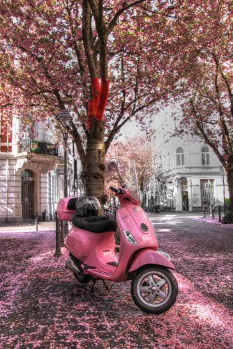 090-2016-Wett-D.Paffenholz (2)  