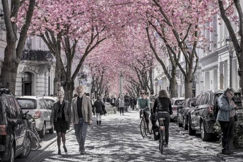 092-2016-Wett-D.Bellinghausen - KiBo Wettbewerb 2016 (1)  