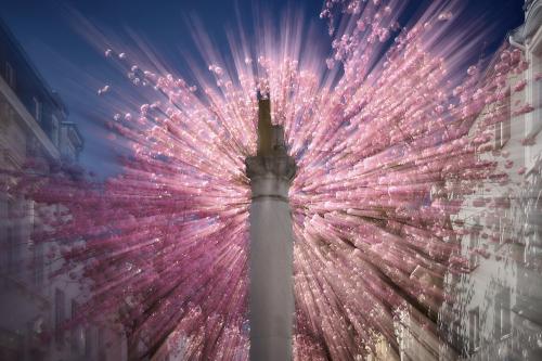 101-2016-Wett-J.Sieckmann Supernova  