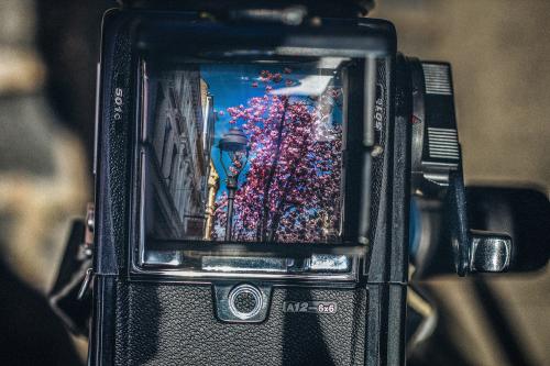 108-2016-Wett-G. Zucca-Bild3  