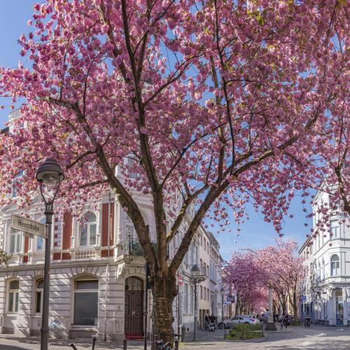 110-2016-Wett-L.Wirmer-3  