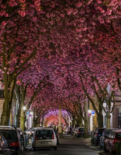 159-2016-Wett-Jason-Wu-1  