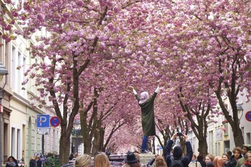 169-2016-Wett-M.Faßbender-DSC00539  