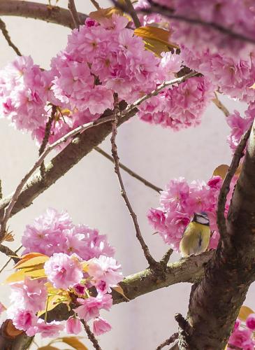 192-2016-Wett-N.Schlage 2  