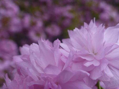 194-2016-Wett-J.Schönenberger-R.Friedrich-P1080592  