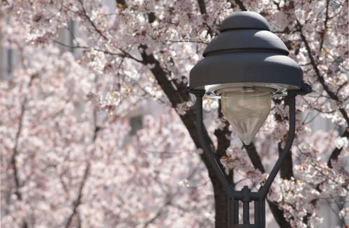 195-2016-WEtt-N.Leder-2 Altstadt  