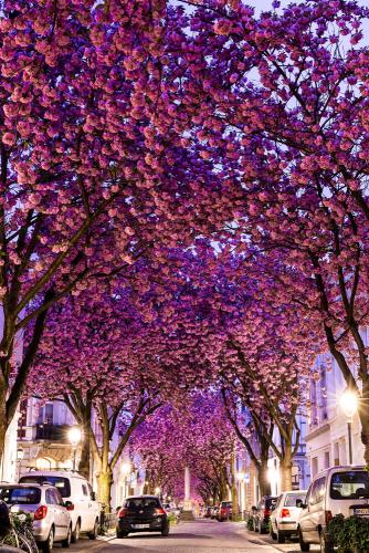 195-2016-Wett-Dong-Uck-kong-2