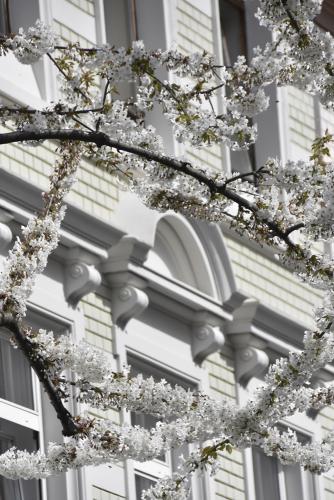 003-2016-Wett-L.Gerlach-k-NIK 0721-2v3