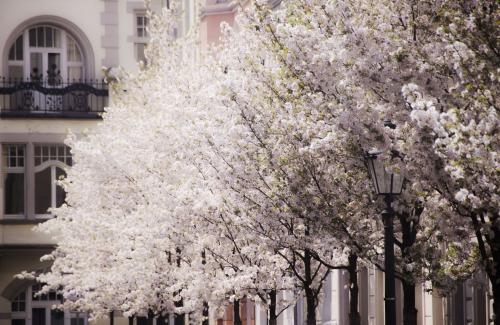 151-2016-Wett-A.Perrotti-3